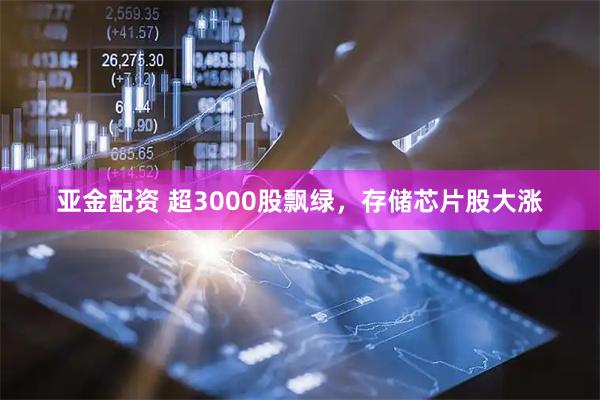 亚金配资 超3000股飘绿，存储芯片股大涨