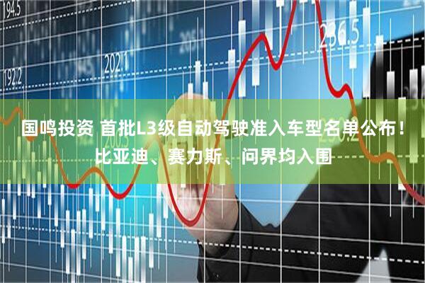 国鸣投资 首批L3级自动驾驶准入车型名单公布！比亚迪、赛力斯、问界均入围