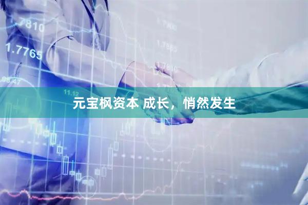 元宝枫资本 成长，悄然发生