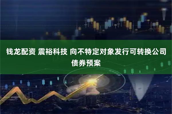 钱龙配资 震裕科技 向不特定对象发行可转换公司债券预案