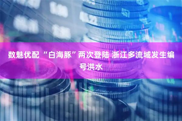 数魅优配 “白海豚”两次登陆 浙江多流域发生编号洪水